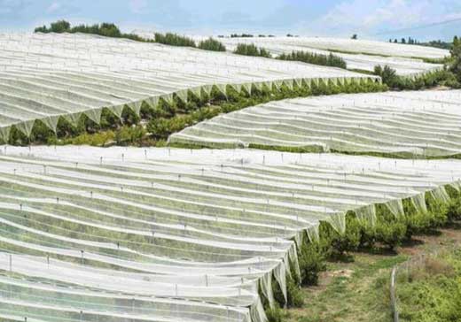 UV Treated Non Woven Fabric