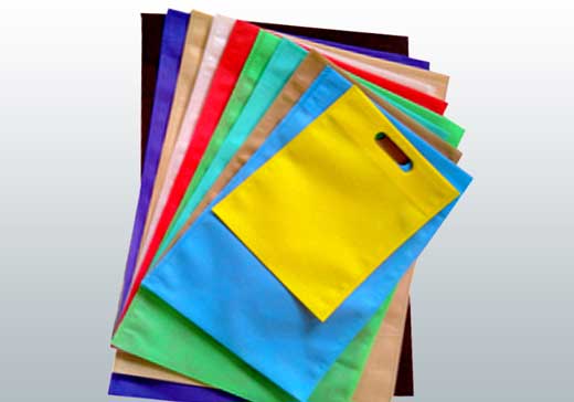 Non Woven Fabric Bag